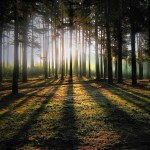 осень в Беларуси