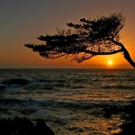 прощание с морем