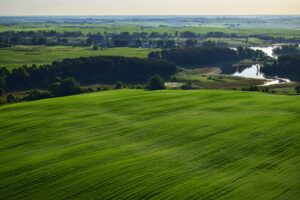 Мая Радзіма - Беларусь