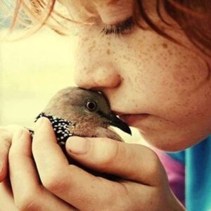 маленькая девочка и птицы на снегу