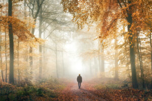 что там за туманом будущего