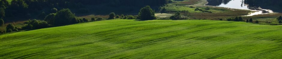 Вершы на беларускай мове